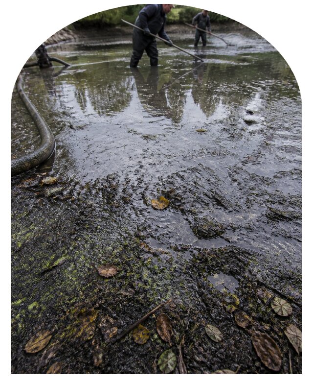 Очистка пруда в Тольятти от ила мусора и водорослей с вывозом
